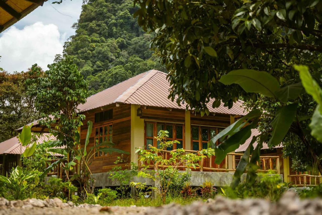 Monkey Mansion - Jungalows & Tours Khao Sok National Park Экстерьер фото