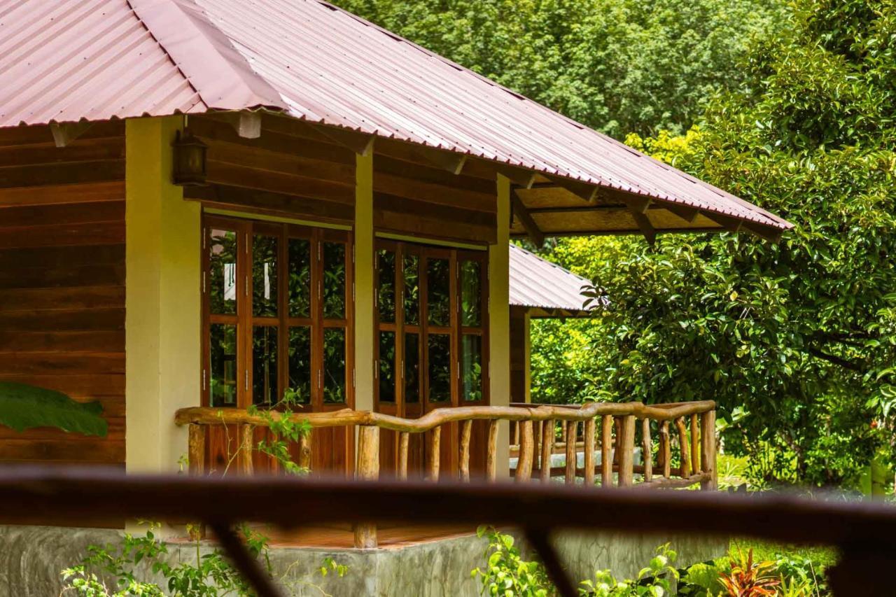 Monkey Mansion - Jungalows & Tours Khao Sok National Park Экстерьер фото