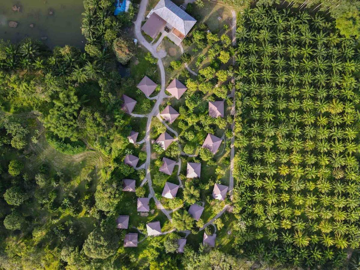 Monkey Mansion - Jungalows & Tours Khao Sok National Park Экстерьер фото