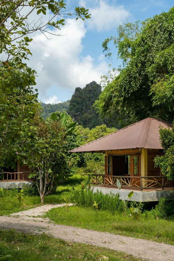 Monkey Mansion - Jungalows & Tours Khao Sok National Park Экстерьер фото