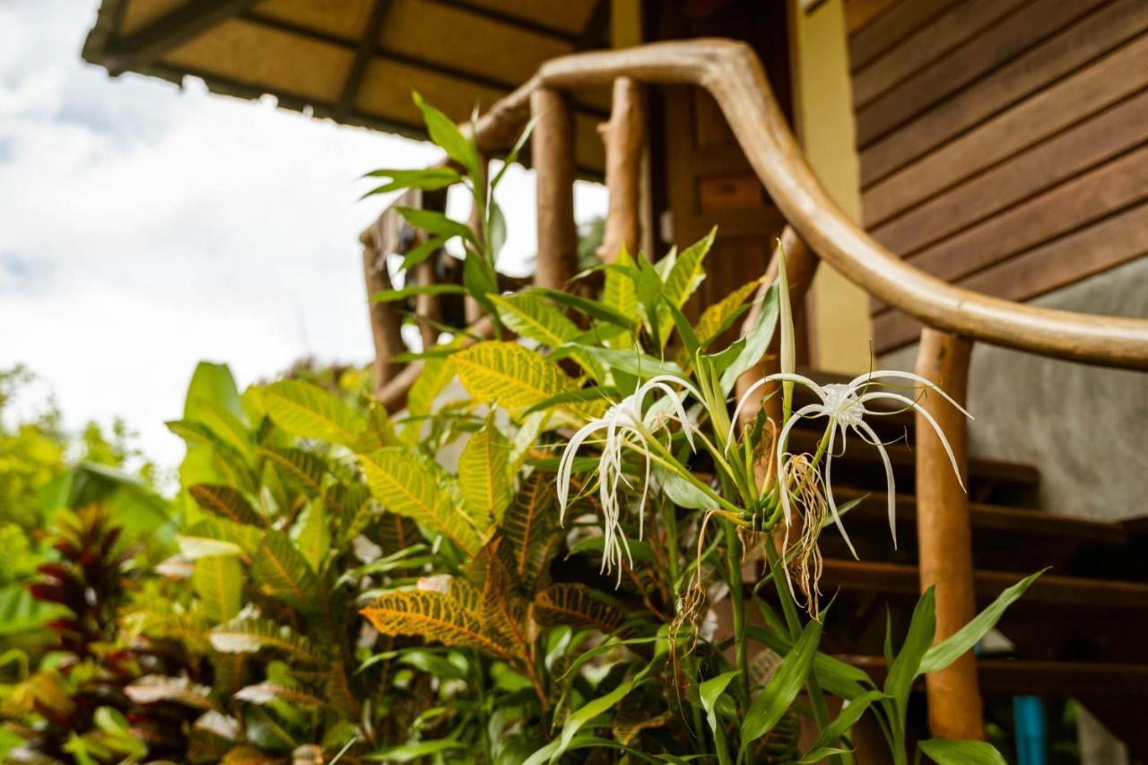 Monkey Mansion - Jungalows & Tours Khao Sok National Park Экстерьер фото