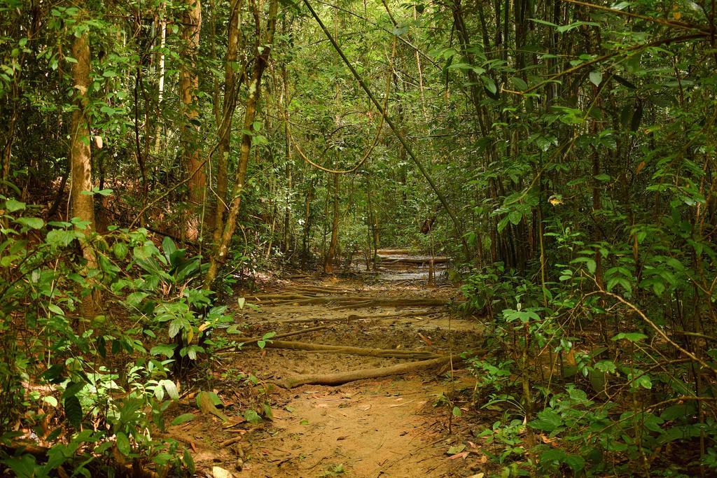 Monkey Mansion - Jungalows & Tours Khao Sok National Park Экстерьер фото