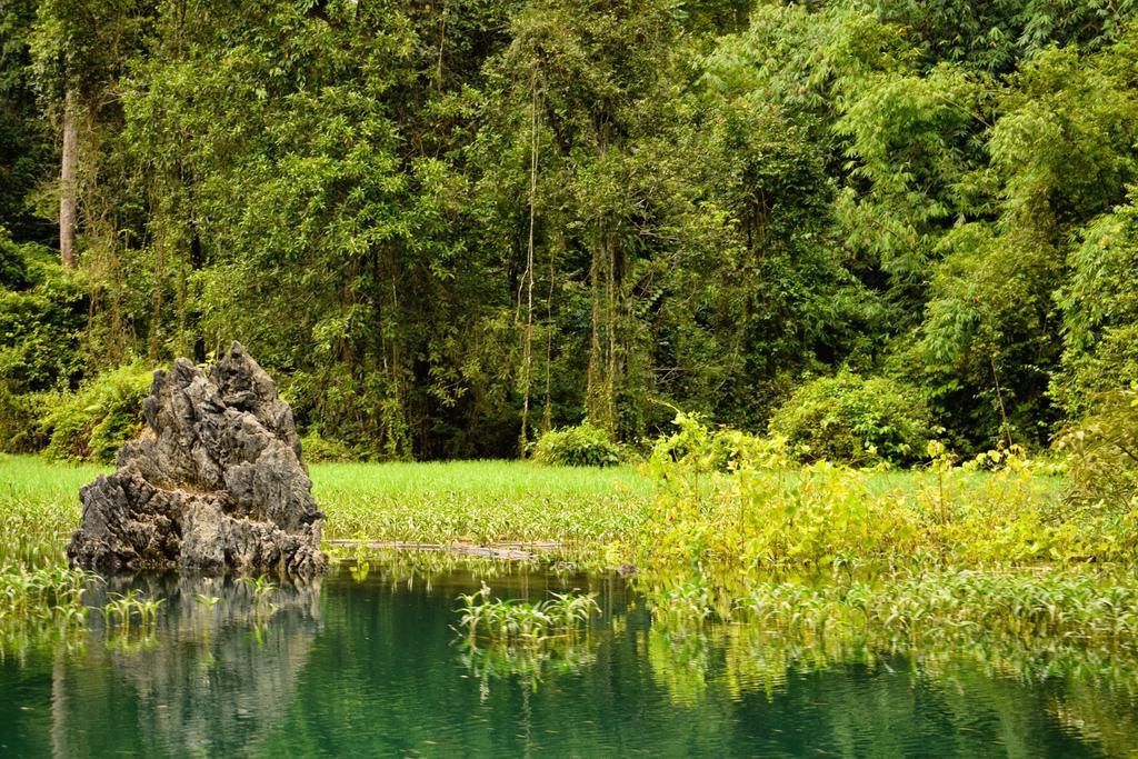 Monkey Mansion - Jungalows & Tours Khao Sok National Park Экстерьер фото
